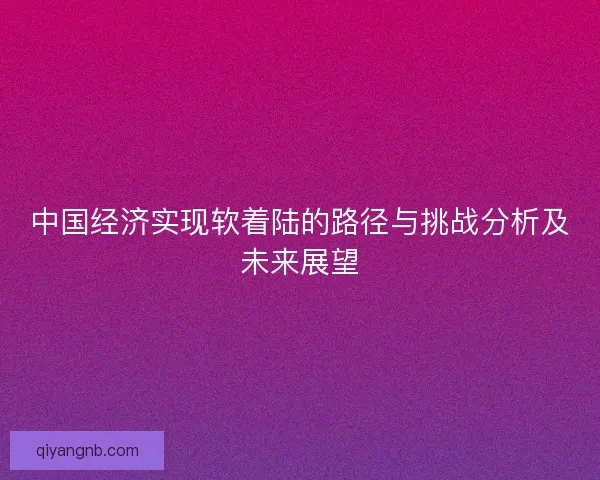 中国经济实现软着陆的路径与挑战分析及未来展望