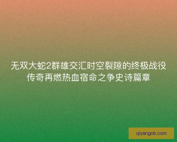 无双大蛇2群雄交汇时空裂隙的终极战役传奇再燃热血宿命之争史诗篇章